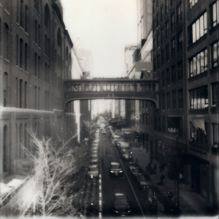 Polaroids — image 5