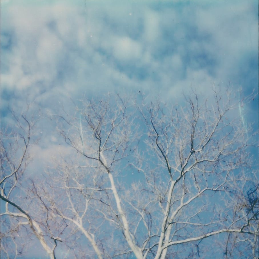 Polaroids — image 7