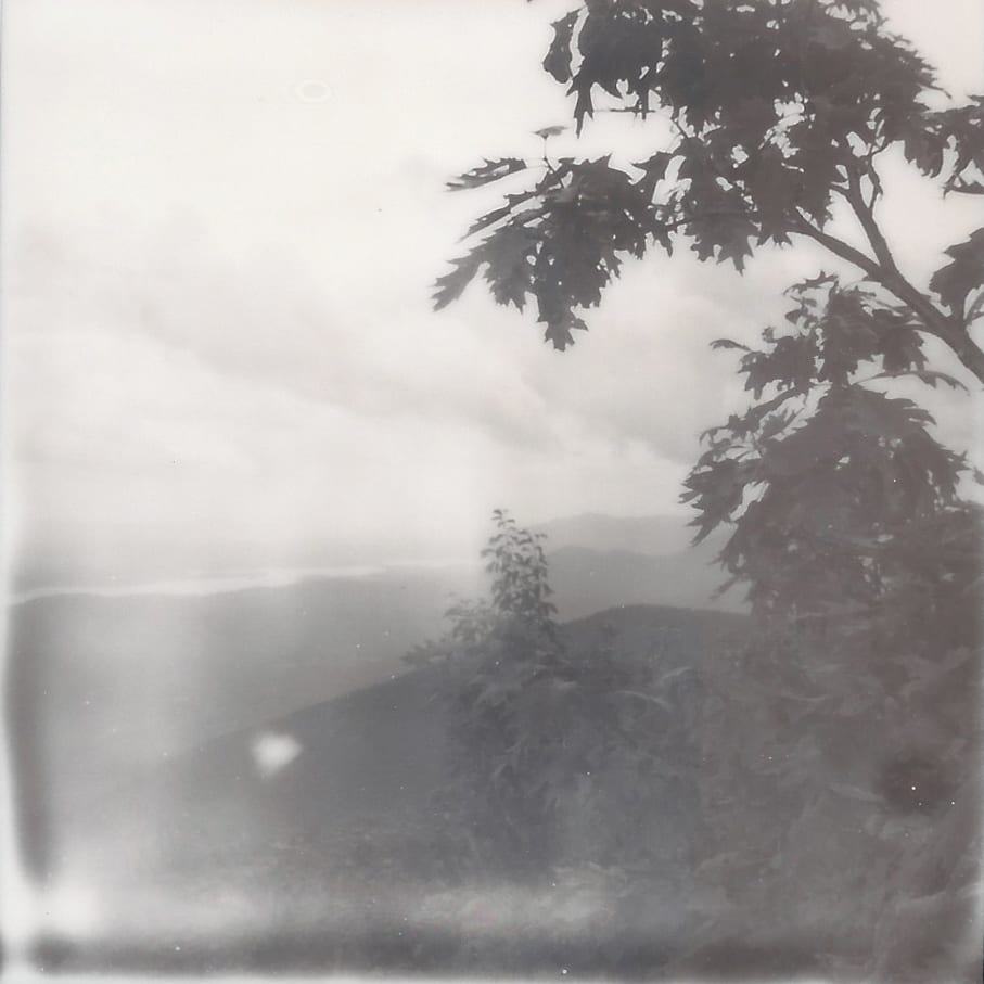 Polaroids — image 11
