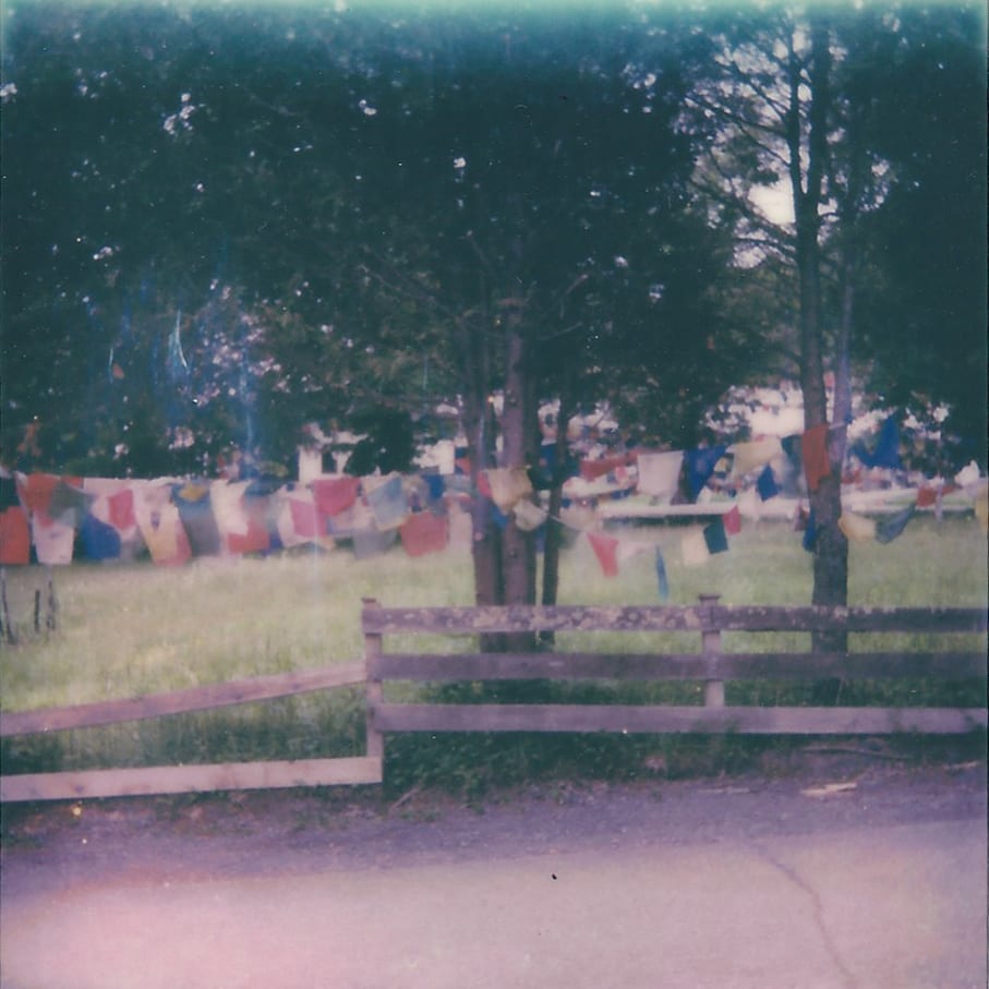 Polaroids — image 12