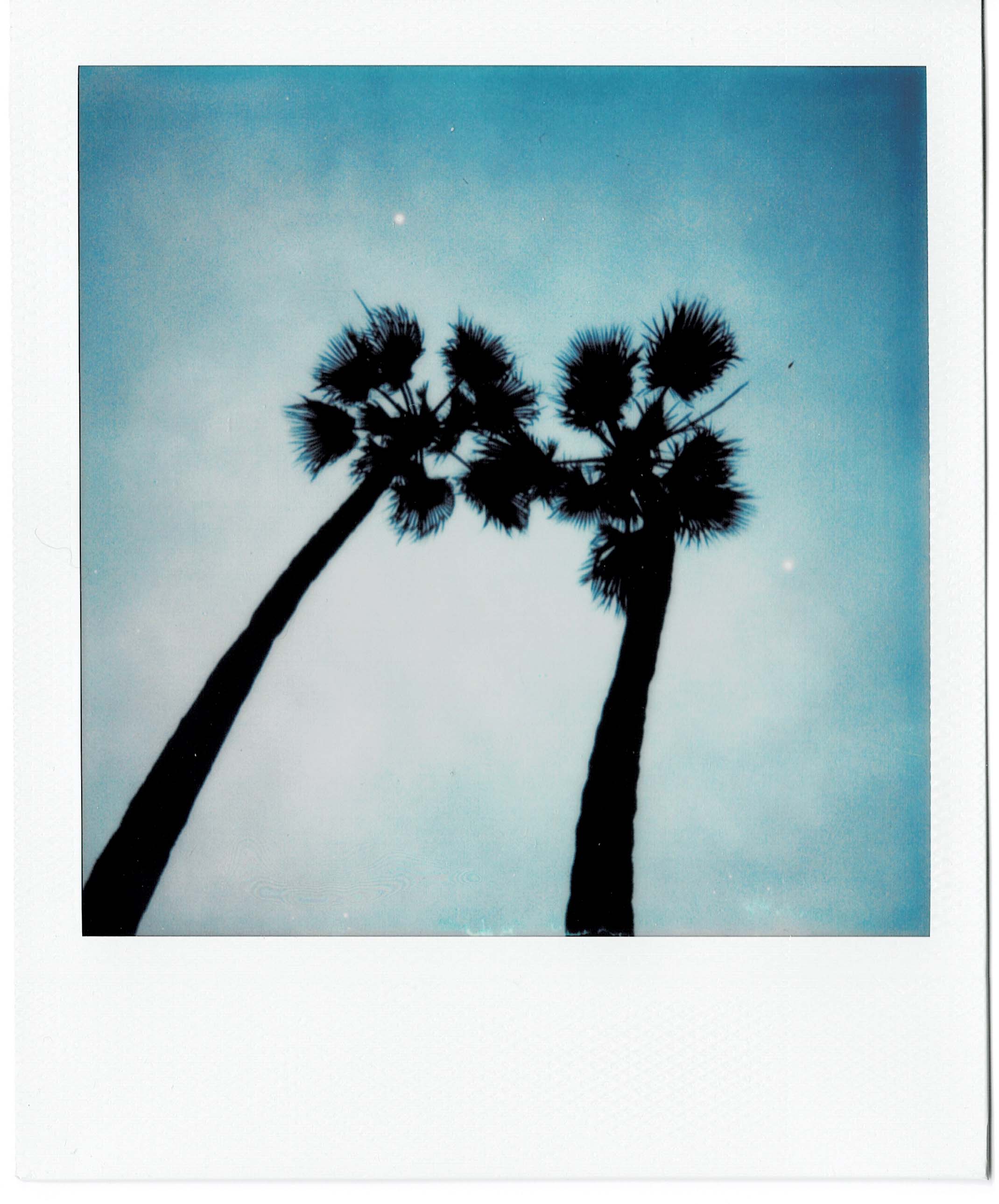 Polaroids — image 14