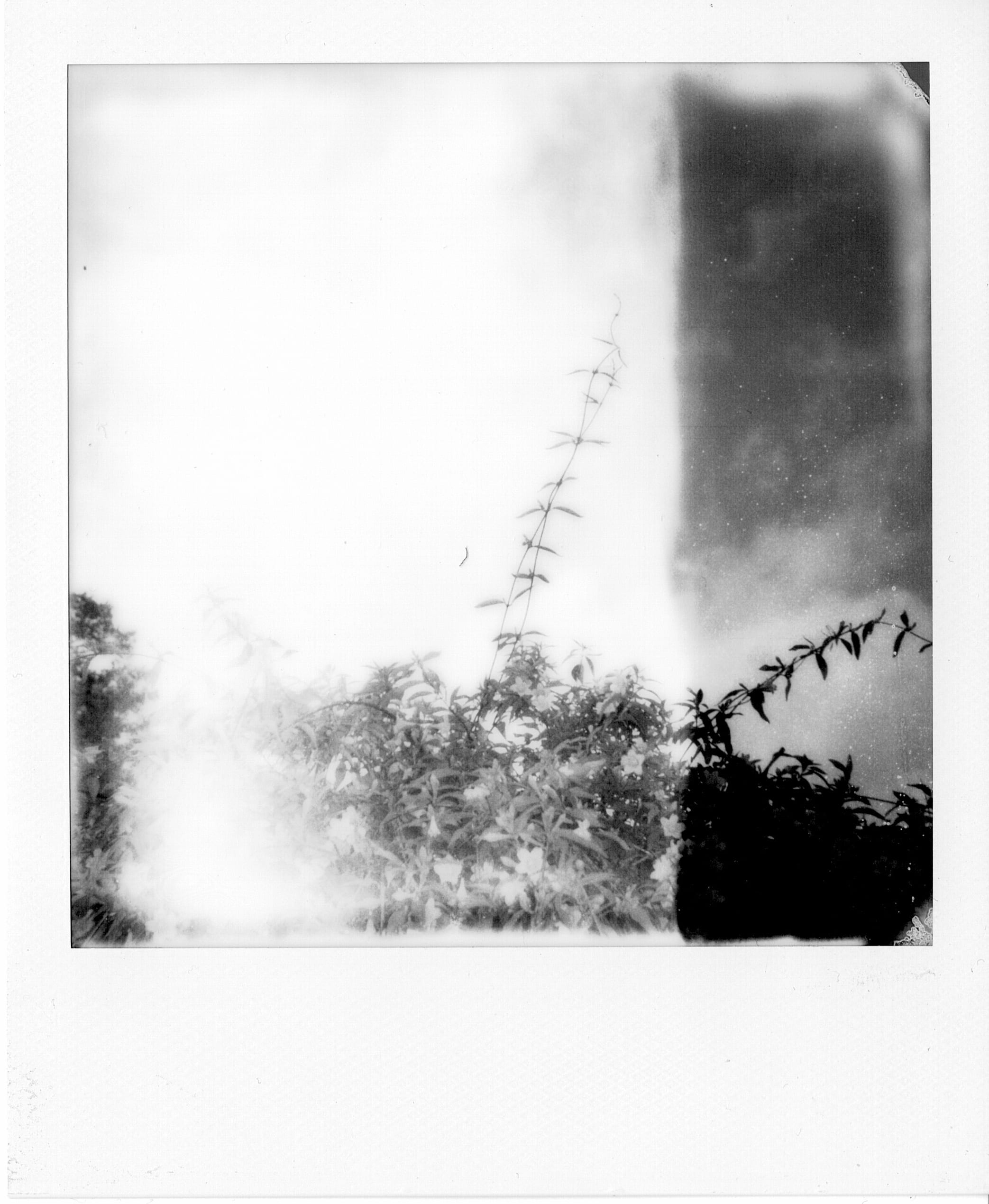 Polaroids — image 19